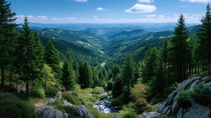 Obraz premium Lush Green Valley Panorama with Distant Blue Sky and Evergreen Trees