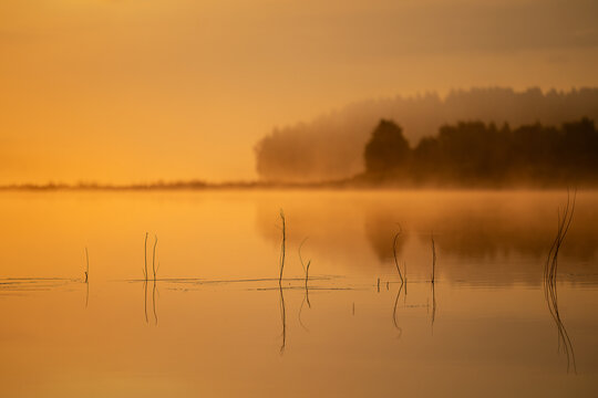 Goldene Stunde am See