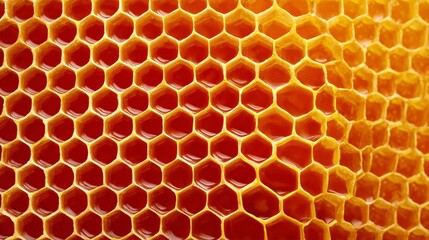 Golden Honeycomb Texture with Sweet Nectar, Natural Beeswax Cells, Close-Up of Organic Honey Product
