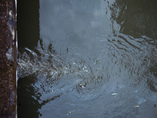 Wastewater Discharge Flowing into Public Canal - Water Pollution and Drainage System Aerial View