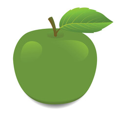 Apple fruit realistic vector illustration