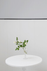 white roses in vase in modern light interior