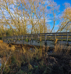 Wooden Footbridge Crossing a Stream on Washlands Park in Winter Sunlight, Burton upon Trent, UK