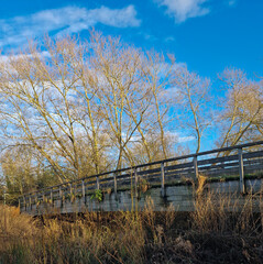Wooden Footbridge Crossing a Stream on Washlands Park in Winter Sunlight, Burton upon Trent, UK
