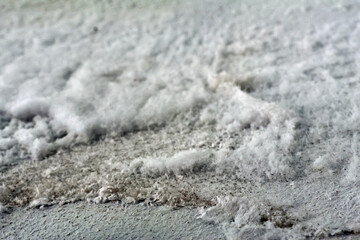 Wall with Saltpeter Efflorescence Caused by Rising Damp
