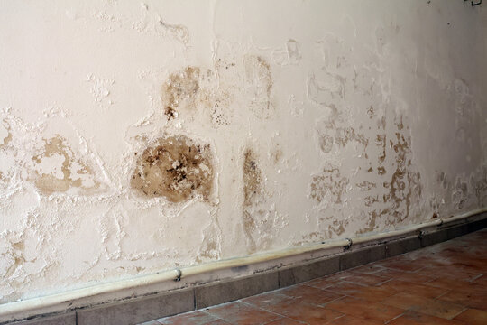 Wall with Damp Stains and Saltpeter Efflorescence Caused by Rising Capillary Moisture