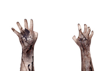 The zombies hand with wounds and blood try to reach something isolated over a white background. Zombie, devil, evil, satan, or monster hand. Concept of Halloween or Horror