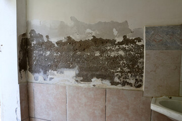 Severely Damaged Wall with Plaster Loss Caused by Rising Capillary Moisture 