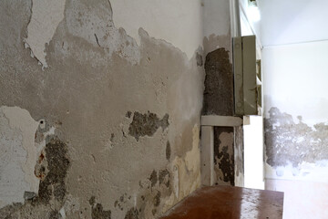 Severely Damaged Wall with Plaster Loss Caused by Rising Capillary Moisture 
