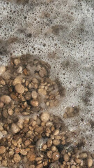 High-angle view of bubbly seawater rolling over small beach stones, dynamic foam texture and earthy colors, natural coastal background for travel, wellness, and design themes.