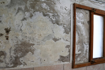 Wall with Damp Stains and Saltpeter Efflorescence Caused by Rising Capillary Moisture