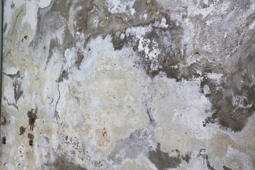 Wall with Damp Stains and Saltpeter Efflorescence Caused by Rising Capillary Moisture