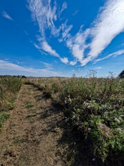 Sun-Drenched Summer Footpath Through Dry Fields Near Scalpcliffe Woods, Burton upon Trent, UK