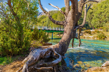 On the Road, Cerro Tronador, Bariloche, Rio Negro Province, Patagonia, Argentina