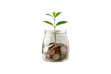 Glass jar filled with mixed coins and green plant growing symbolizing savings growth, financial planning, and investment, isolated on a transparent background