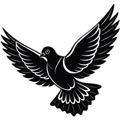 Black dove in flight with outstretched wings