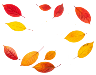 PNG Falling leaves, autumn foliage on transparent background. Overlay PNG file with red leaves flying from tree.
