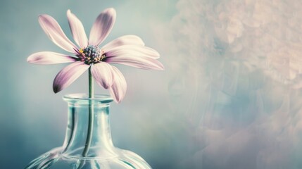 Spring & Summer Floral Beauty: Pink Roses, Purple Peonies, and Daisy Bouquets in Garden Arrangements