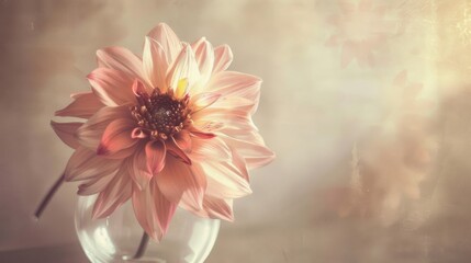 Spring & Summer Floral Beauty: Pink Roses, Purple Peonies, and Daisy Bouquets in Garden Arrangements