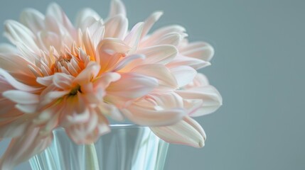 Spring & Summer Floral Beauty: Pink Roses, Purple Peonies, and Daisy Bouquets in Garden Arrangements