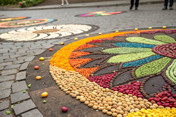 Colorful seed arrangement scattered across textured stone ground creating pattern