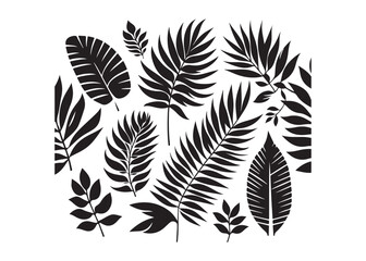 Obraz premium tropical leaves seamless pattern logo silhouette vector, jungle leaves silhouette vector illustration, seamless pattern with black tropical leaves logo silhouettes vector on a white background