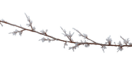 Obraz premium Frosted twig garland background isolated on a Transparent background, PNG file.