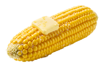 Salt crystals accentuating the surface of a buttered corn cob, isolated on white or transparent background. PNG