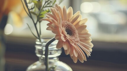 Spring & Summer Floral Beauty: Pink Roses, Purple Peonies, and Daisy Bouquets in Garden Arrangements