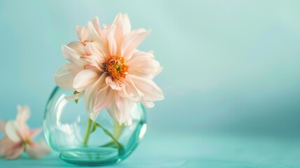 Spring & Summer Floral Beauty: Pink Roses, Purple Peonies, and Daisy Bouquets in Garden Arrangements