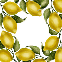  watercolor frame illustration with ripe yellow lemons and green leaves on white background. Perfect for lemonade or limoncello design, packaging, invitations, postcards, labels and decor.