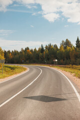 Fototapeta premium A tranquil and serene curving road weaving through a beautifully scenic forest during the vibrant autumn season
