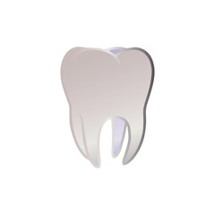 Dental Health Care and Tooth Anatomy Illustration