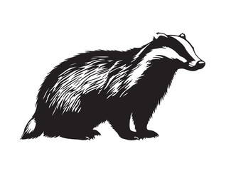 Badger on black and white in silhouette white background.