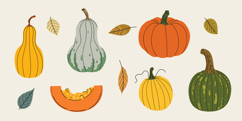 Fall pumpkin and autumn leaves set. Collection of seasonal vegetables and foliage in flat modern style. Best for Thanksgiving and harvest design. Vector illustration isolated on white background.