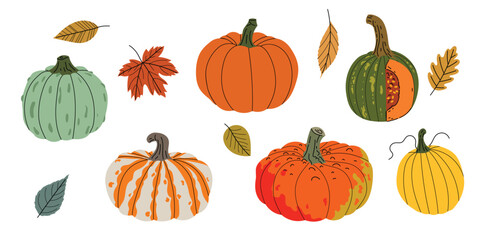 Fall pumpkin and autumn leaves set. Collection of seasonal vegetables and foliage in flat modern style. Best for Thanksgiving and harvest design. Vector illustration isolated on white background.