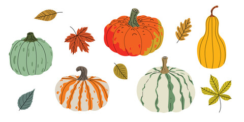 Fall pumpkin and autumn leaves set. Collection of seasonal vegetables and foliage in flat modern style. Best for Thanksgiving and harvest design. Vector illustration isolated on white background.