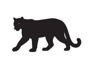 Cougar on black and white in silhouette white background.