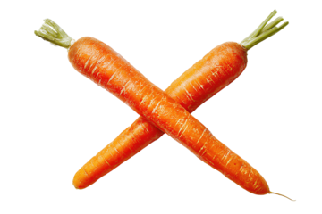 Two fresh carrots crossed in an X shape, washed clean with fine root hairs, trimmed green tops, bright orange skin with pale striations, isolated on transparent background.
