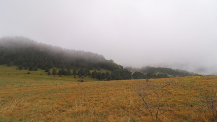 morning mist in the mountains