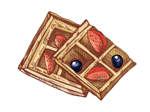Hand drawn vintage sketch of sweet waffles with strawberries and blueberries in color and monochrome version - Powered by Adobe