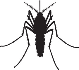 Mosquito top view in silhoette white background.