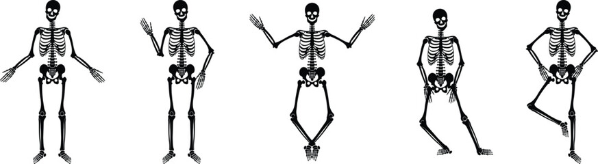 Dancing human skeleton bones icon set collection group isolated on transparent background in black and line style, anatomy spooky skull cranium medical illustration vector bundle design elements