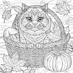 The cat is sitting in a basket with autumn leaves, pumpkins, and mushrooms.Fall.Coloring book antistress for children and adults. 