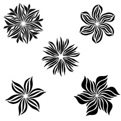 set of floral elements