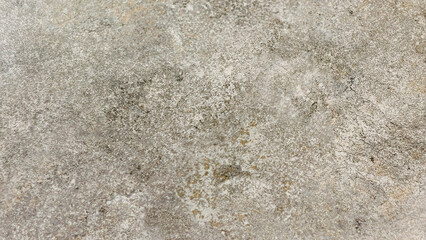 A close-up macro shot of a textured gray and tan speckled surface, resembling stone or concrete