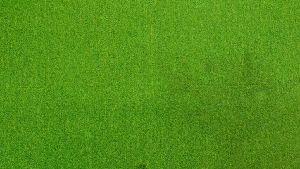 Close-up view of a vibrant green felt surface, showcasing texture and detail.