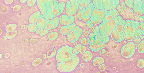 A Vintage Grunge Texture with Light Paper Design