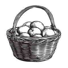 Fototapeta premium Engraving of a wicker basket overflowing with round fruit.