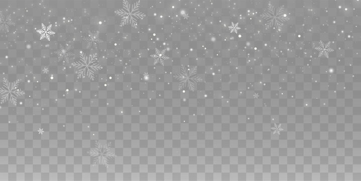 Snowfall background, white snowflakes vector, winter cold weather design. Many falling snow flake elements on transparent background, frosty air texture, frozen crystal particles overlay.	
